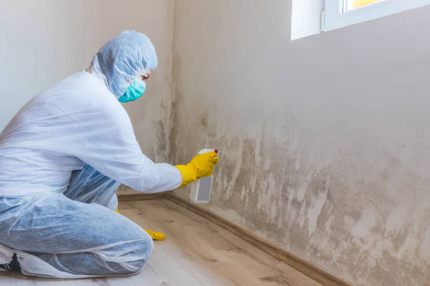 Licensed Bathroom Mold Removal service in Jamison, PA - WQB Mold Removal