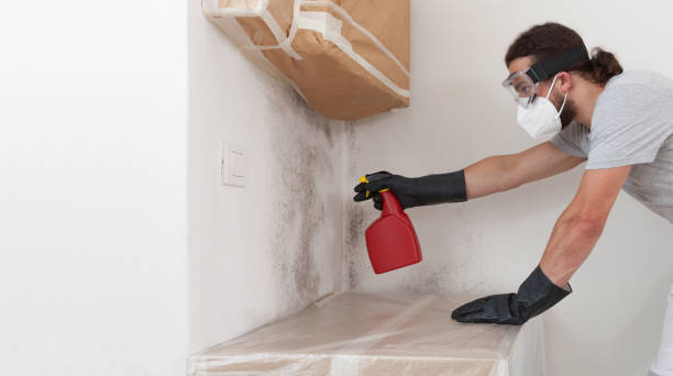 Professional Bathroom Mold Removal technician working in Jamison, PA