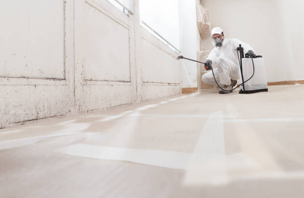 24/7 Emergency Bathroom Mold Removal experts in Jamison, PA